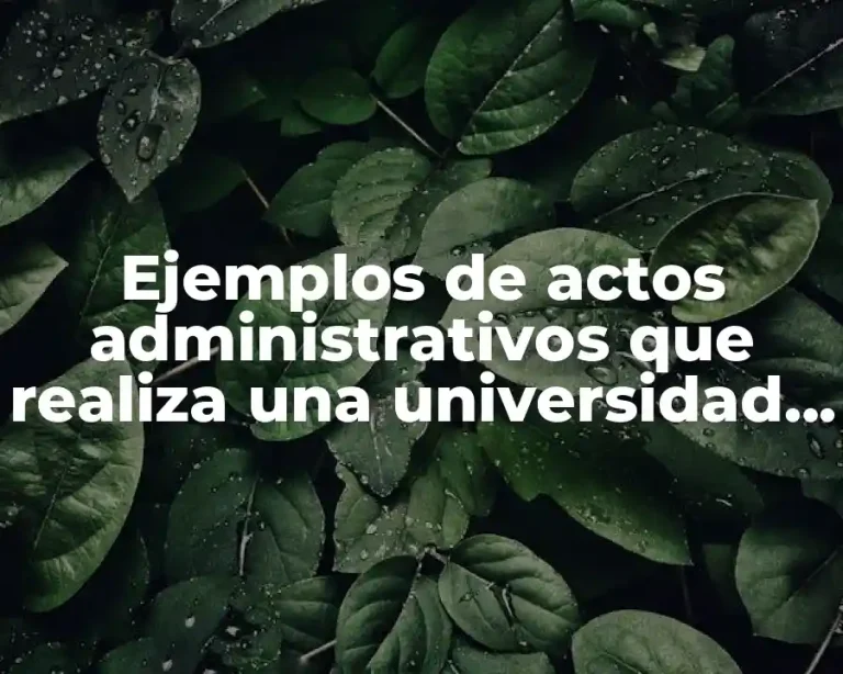 Ejemplos de actos administrativos que realiza una universidad y Significado