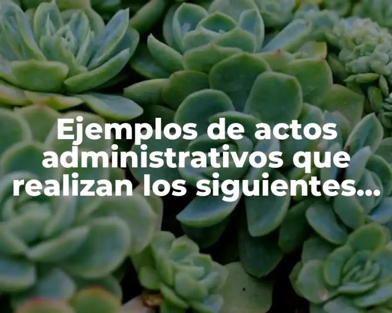 Ejemplos de actos administrativos que realizan los siguientes órganos SHCP
