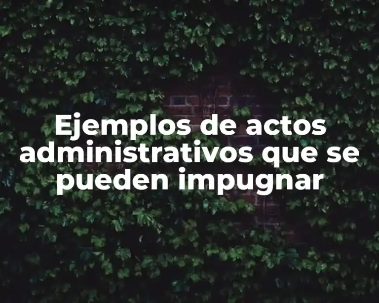 Ejemplos de actos administrativos que se pueden impugnar