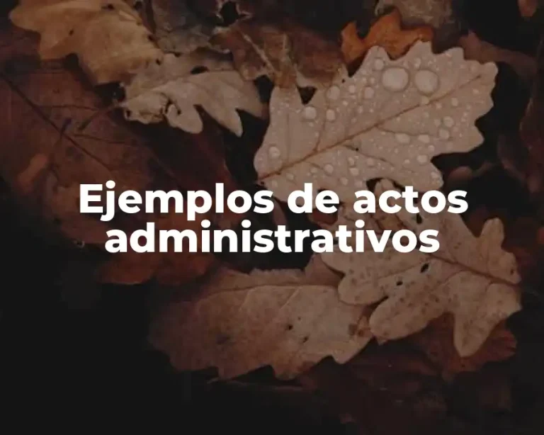 Ejemplos de actos administrativos