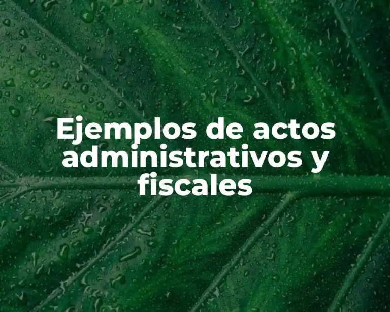 Ejemplos de actos administrativos y fiscales