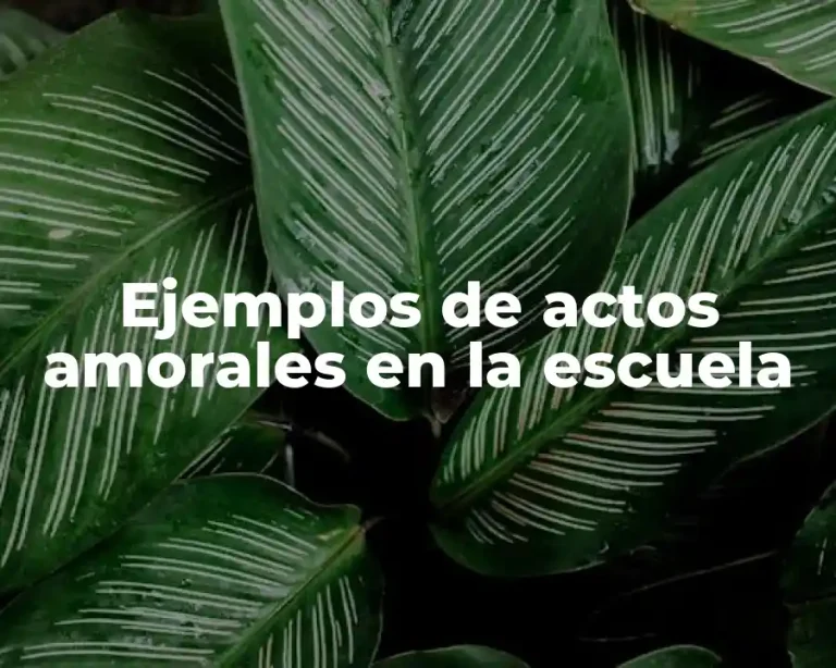Ejemplos de actos amorales en la escuela