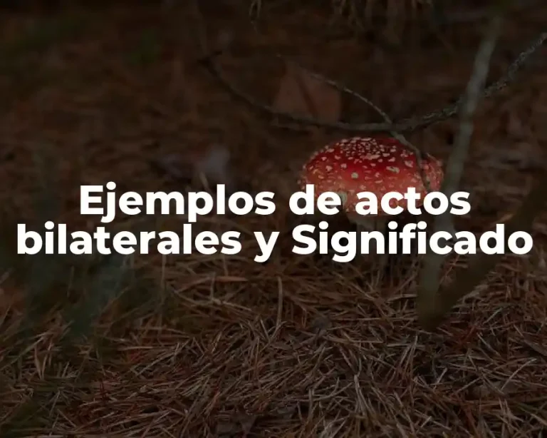 Ejemplos de actos bilaterales y Significado