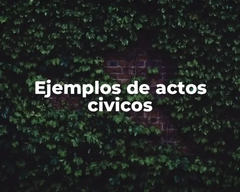 Ejemplos de actos civicos