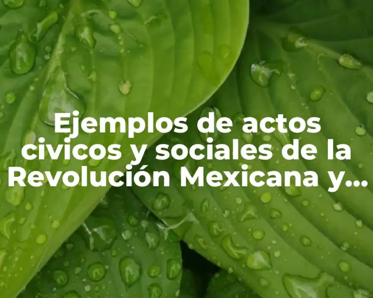 Ejemplos de actos civicos y sociales de la Revolución Mexicana y Significado