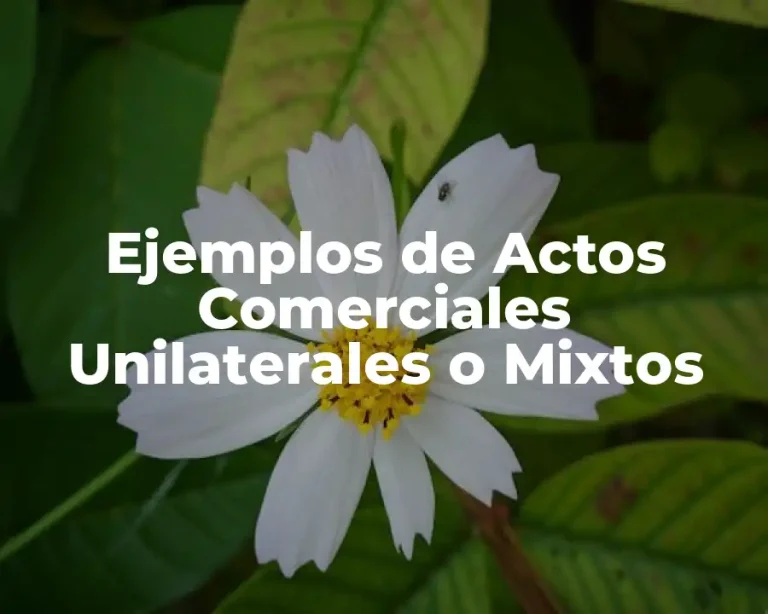 Ejemplos de Actos Comerciales Unilaterales o Mixtos