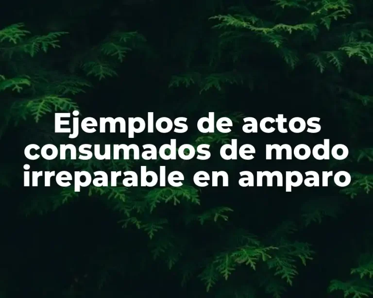 Ejemplos de actos consumados de modo irreparable en amparo