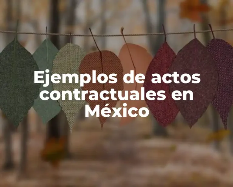 Ejemplos de actos contractuales en México