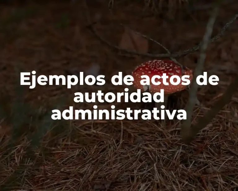 Ejemplos de actos de autoridad administrativa