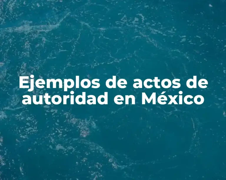 Ejemplos de actos de autoridad en México