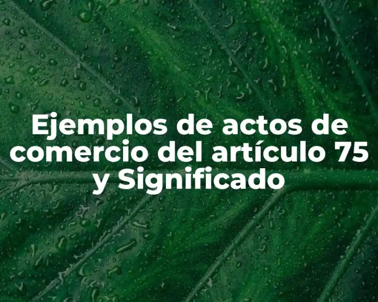 Ejemplos de actos de comercio del artículo 75 y Significado