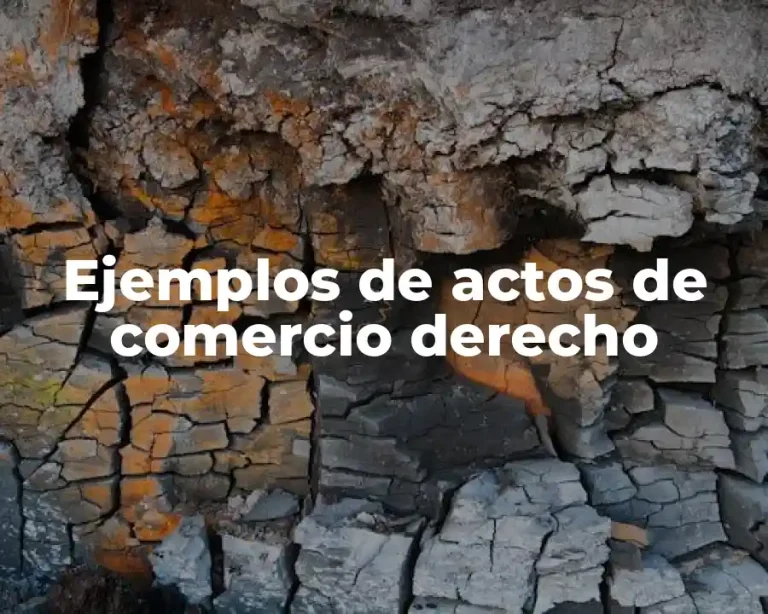 Ejemplos de actos de comercio derecho