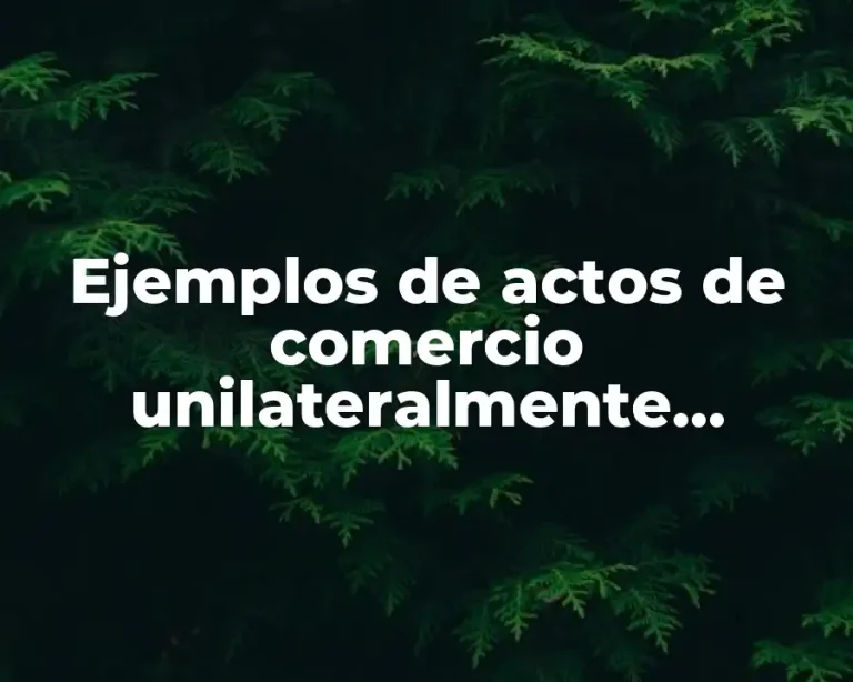Ejemplos de actos de comercio unilateralmente mercantil y Significado