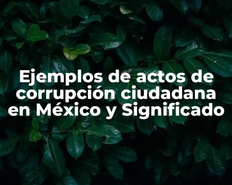 Ejemplos de actos de corrupción ciudadana en México y Significado
