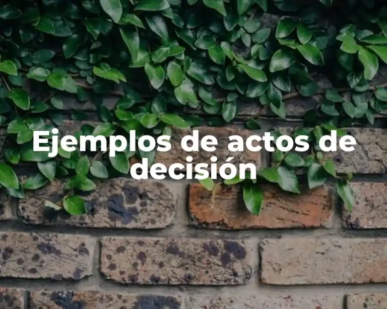 Ejemplos de actos de decisión