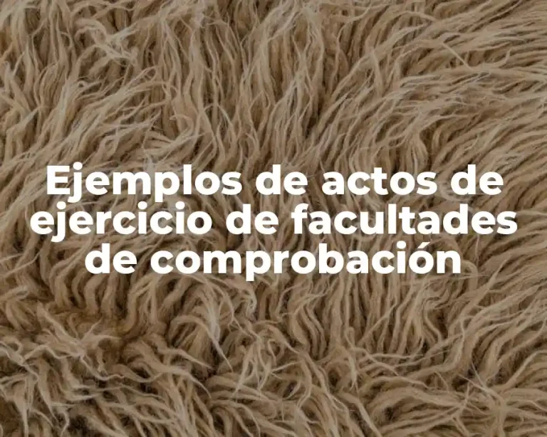 Ejemplos de actos de ejercicio de facultades de comprobación