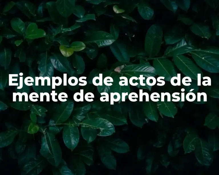 Ejemplos de actos de la mente de aprehensión