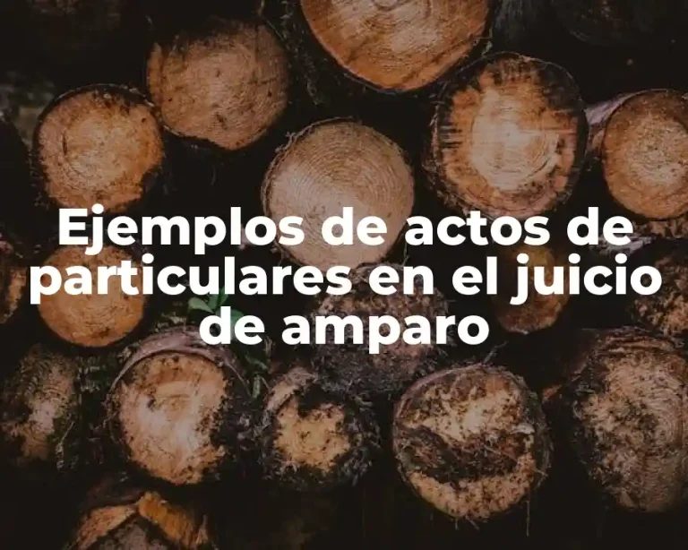 Ejemplos de actos de particulares en el juicio de amparo