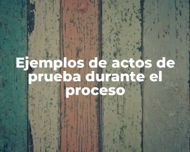 Ejemplos de actos de prueba durante el proceso