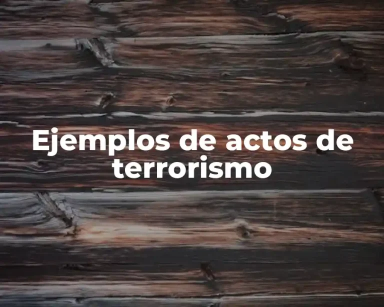 Ejemplos de actos de terrorismo