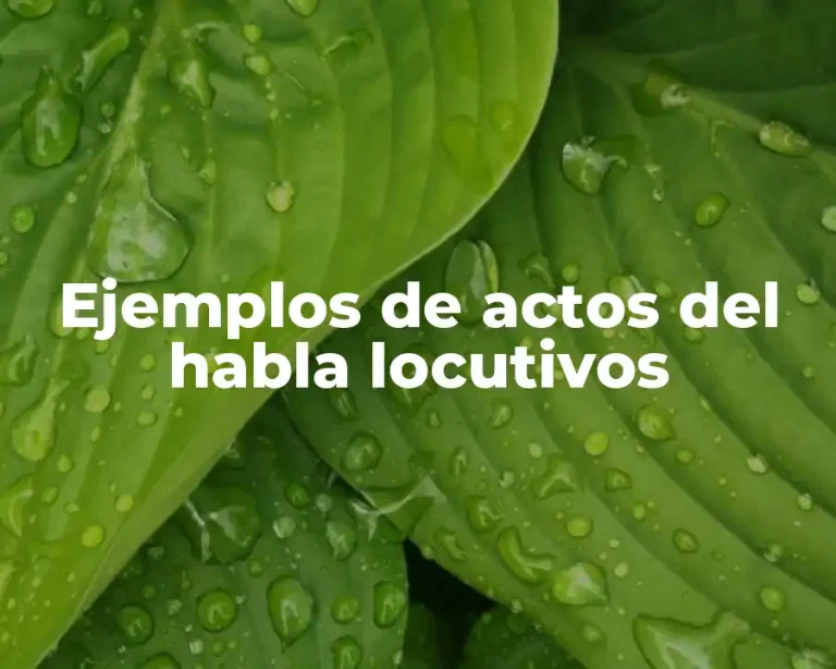 Ejemplos de actos del habla locutivos