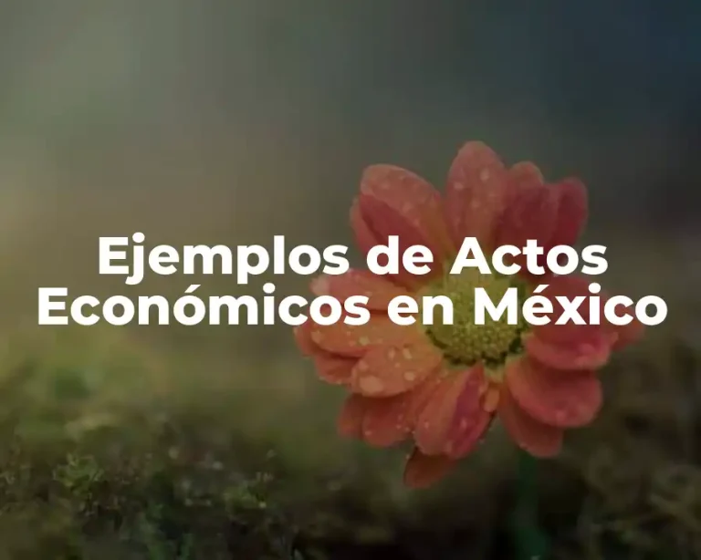 Ejemplos de Actos Económicos en México