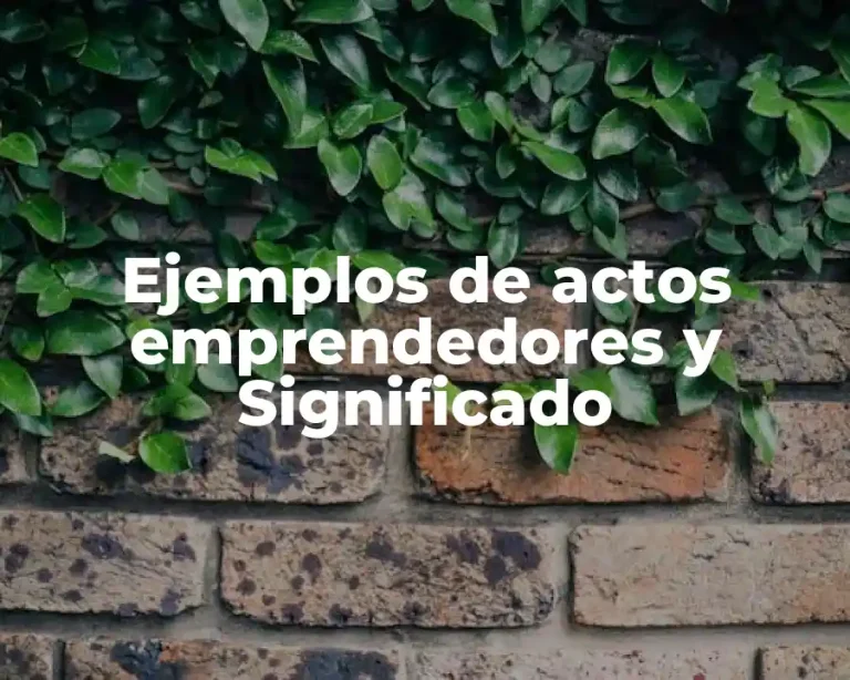 Ejemplos de actos emprendedores y Significado