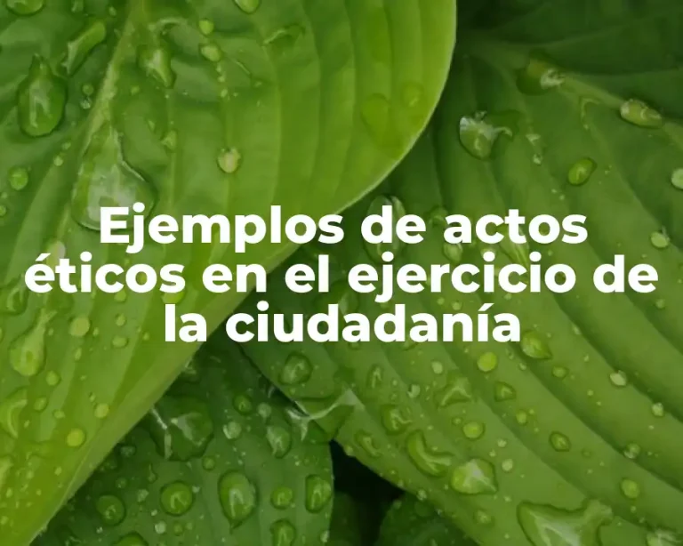 Ejemplos de actos éticos en el ejercicio de la ciudadanía