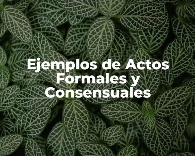 Ejemplos de Actos Formales y Consensuales
