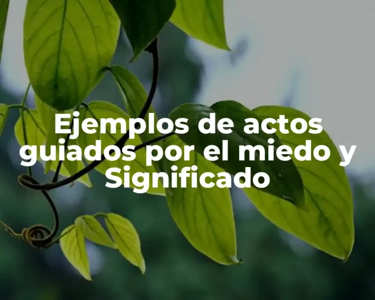Ejemplos de actos guiados por el miedo y Significado