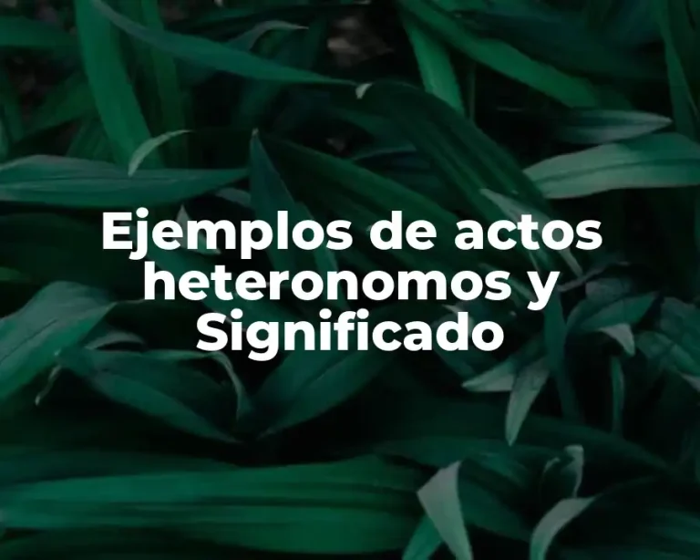 Ejemplos de actos heteronomos y Significado