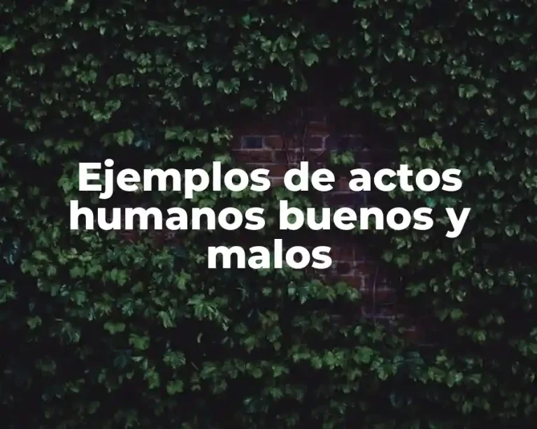 Ejemplos de actos humanos buenos y malos