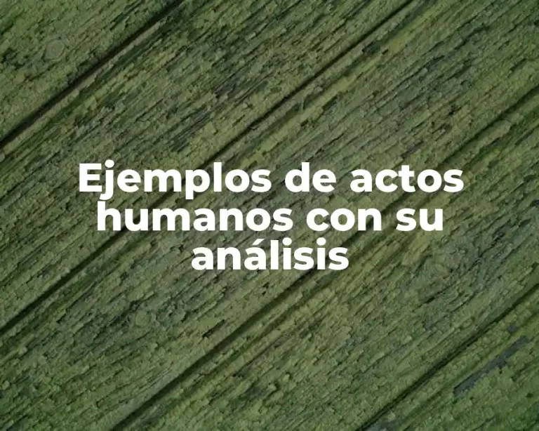 Ejemplos de actos humanos con su análisis