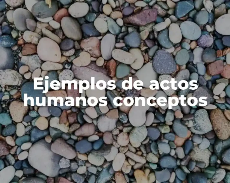 Ejemplos de actos humanos conceptos