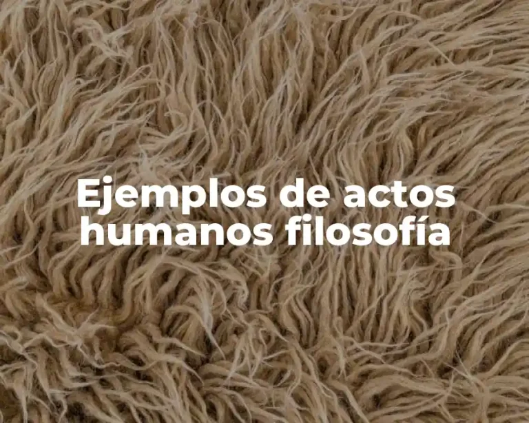 Ejemplos de actos humanos filosofía