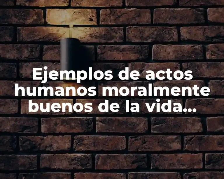 Ejemplos de actos humanos moralmente buenos de la vida cotidiana
