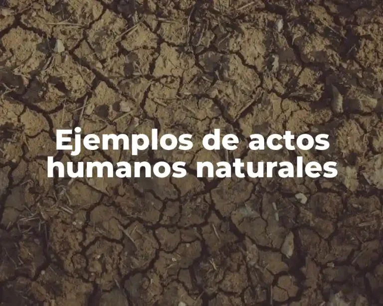 Ejemplos de actos humanos naturales