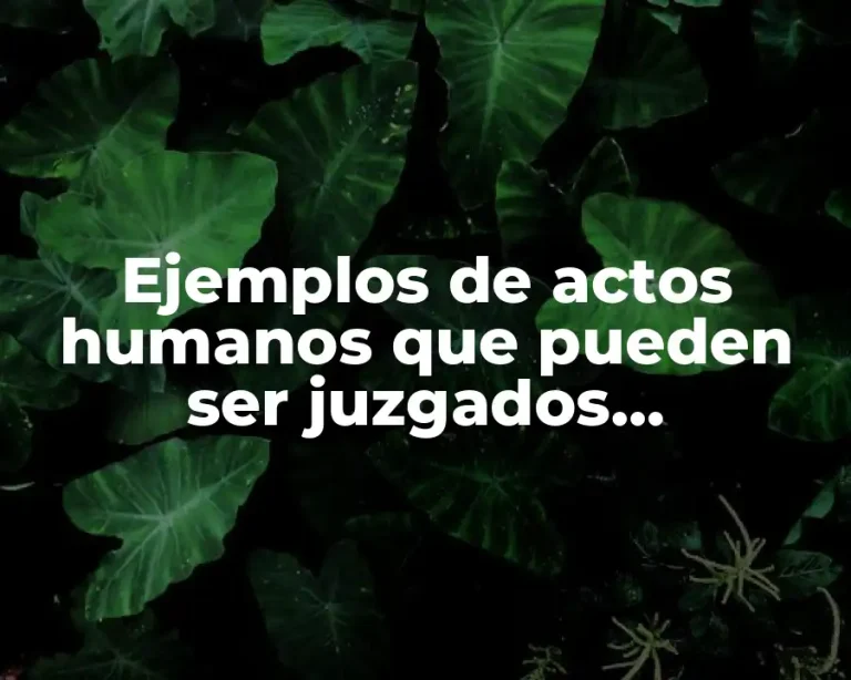 Ejemplos de actos humanos que pueden ser juzgados eticamente.