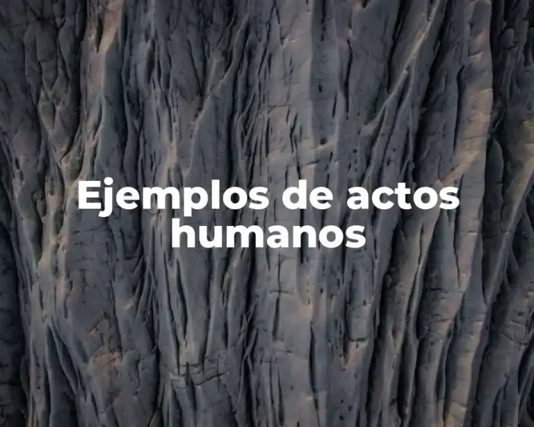 Ejemplos de actos humanos