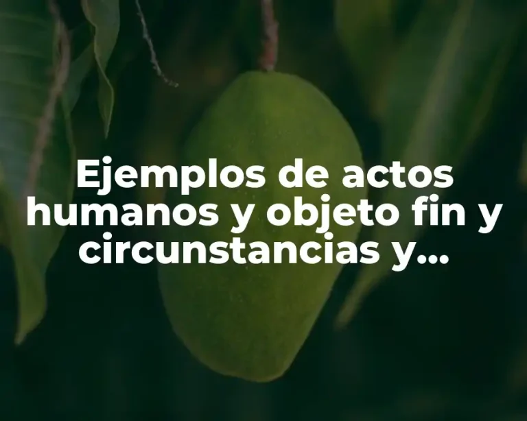 Ejemplos de actos humanos y objeto fin y circunstancias y Significado