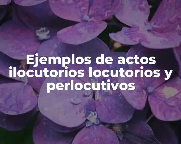Ejemplos de actos ilocutorios locutorios y perlocutivos