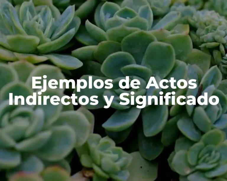 Ejemplos de Actos Indirectos y Significado