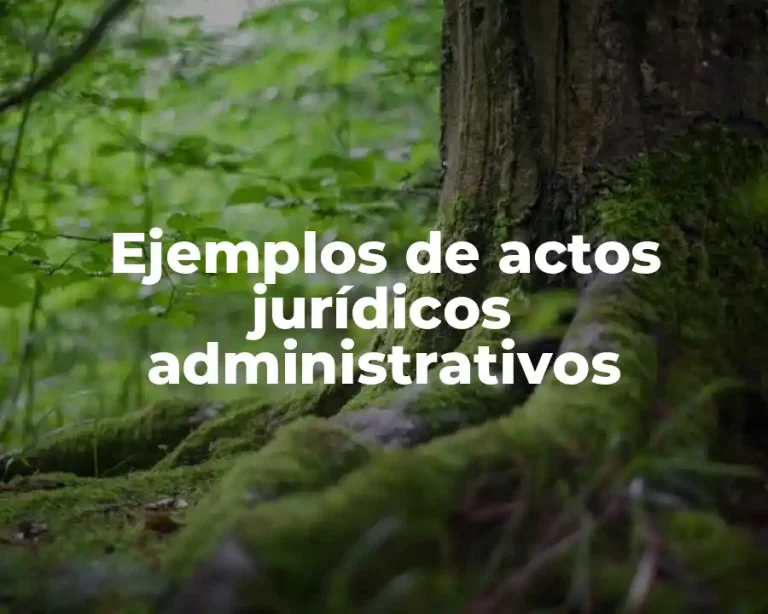 Ejemplos de actos jurídicos administrativos