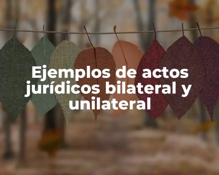 Ejemplos de actos jurídicos bilateral y unilateral