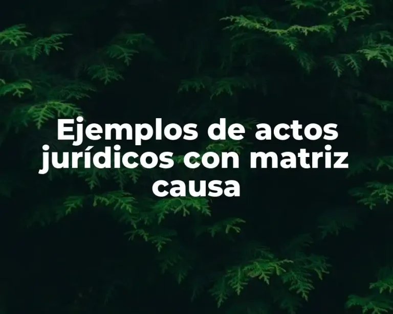 Ejemplos de actos jurídicos con matriz causa