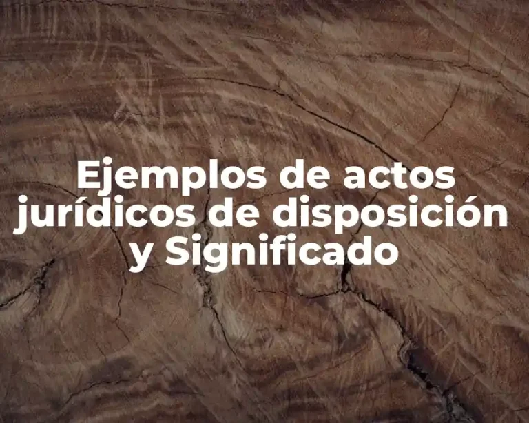 Ejemplos de actos jurídicos de disposición y Significado
