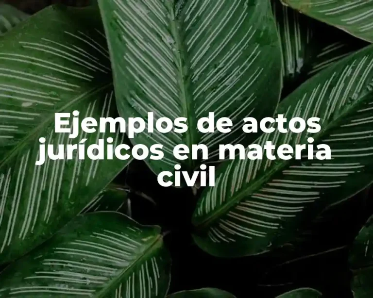 Ejemplos de actos jurídicos en materia civil