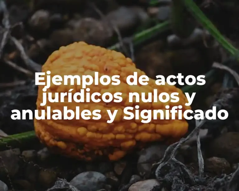 Ejemplos de actos jurídicos nulos y anulables y Significado