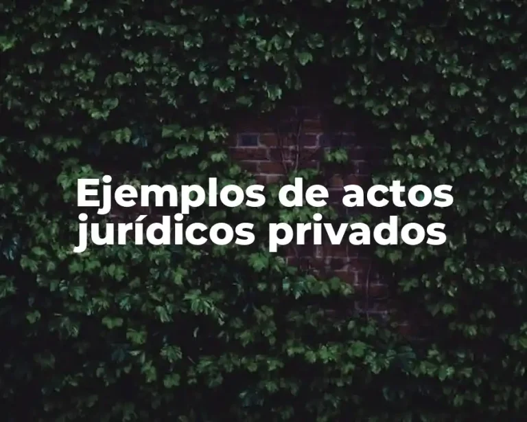 Ejemplos de actos jurídicos privados