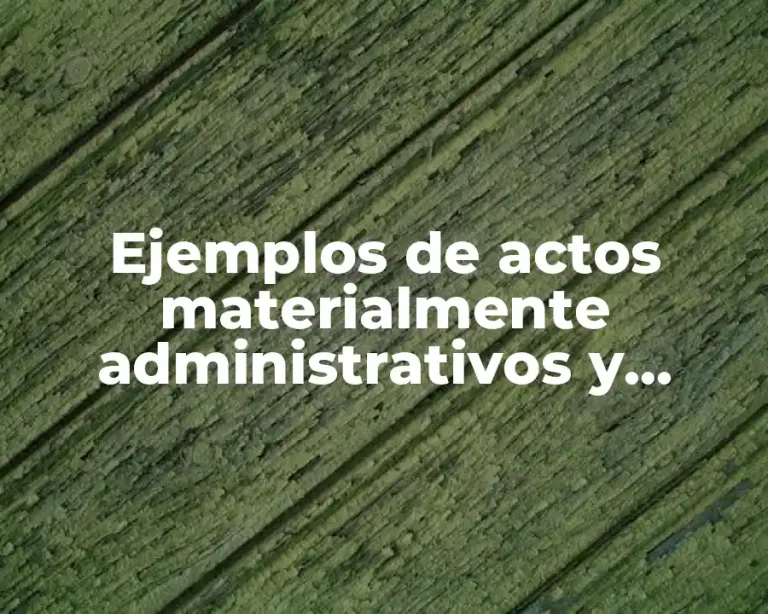 Ejemplos de actos materialmente administrativos y Significado